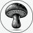 SHROOMIES Details