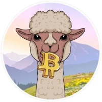 ALPACA-rnA4fPzTuwxHrQnpTum4HpvFCbecUBRWmi