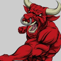 Bullish Details