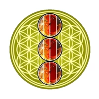 Miracles-rMFu31zXNC6TDPnvCcPGdMP3ic8Z19nArT