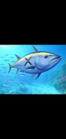 TUNA