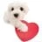 XAT