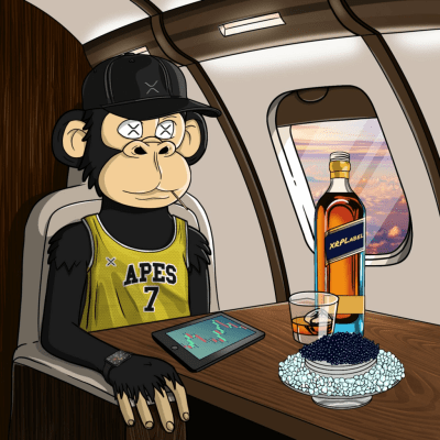 Private Jet Ape #288