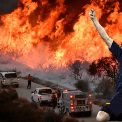 Wildfire