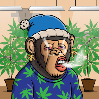 Chilled x chimps #2458