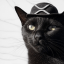Blacky