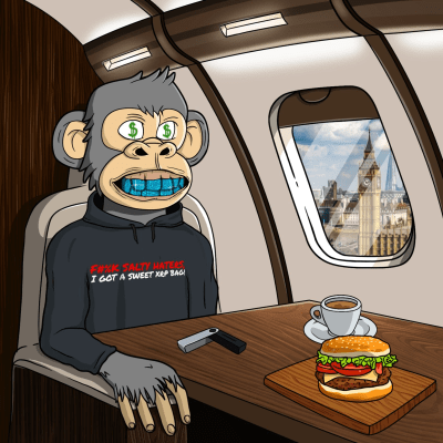 Private Jet Ape #504