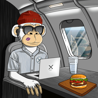 Private Jet Ape #25