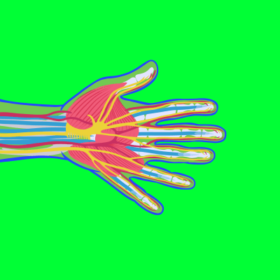 Six Fingers Left