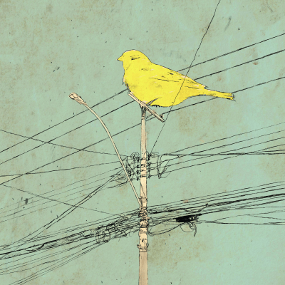 Big Yellow Bird
