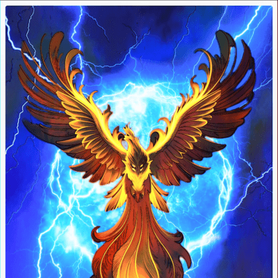 XrP BirD  1/1