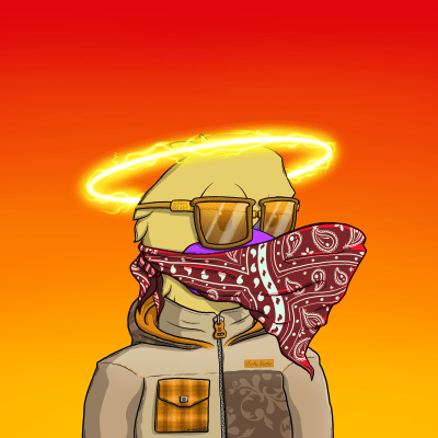 Duckset Diploquacks #559