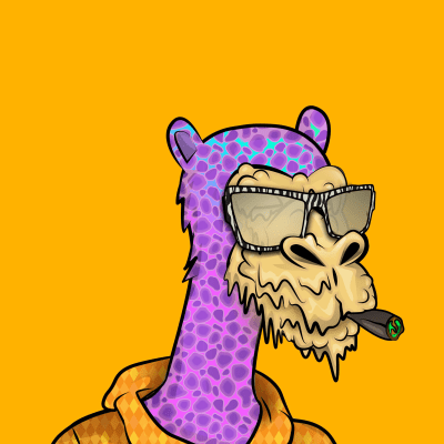 crypto camels #927