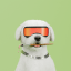 Scrappy #378