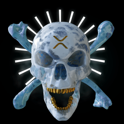 Xrrr Pirate #0256