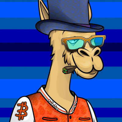 crypto camels #477