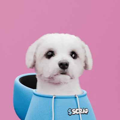 Scrappy #507