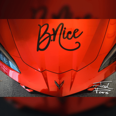 BNice at Daytona #3