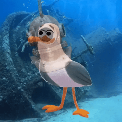 SS Yongala Seagull