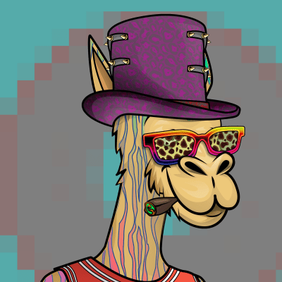 crypto camels #493