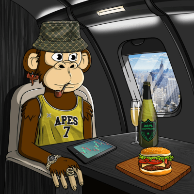 Private Jet Ape #408