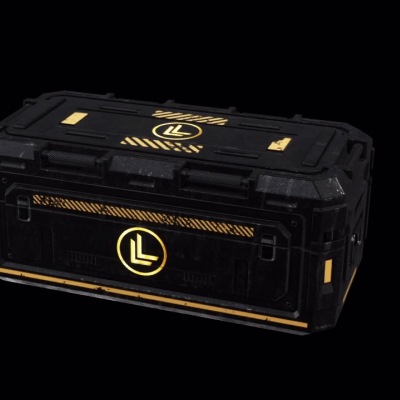 Lux Lions 16 Slot Black Storage Container 28