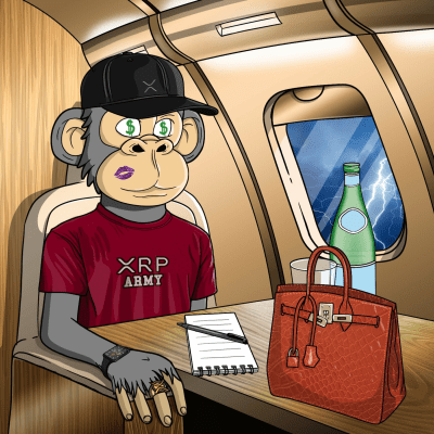 Private Jet Ape #447
