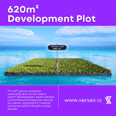 Purple Plot 16