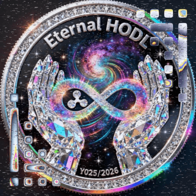 사용자 쇼케이스