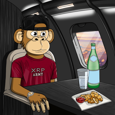 Private Jet Ape #446