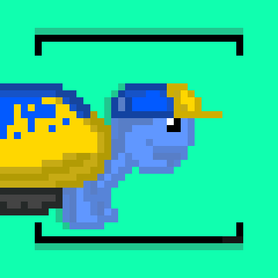 Turtle Turtle #57