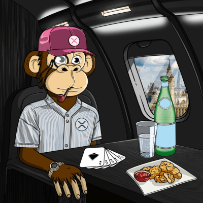 Private Jet Ape #562