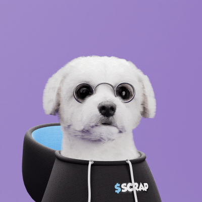 Scrappy #299