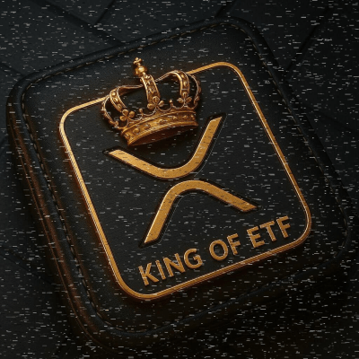 사용자 쇼케이스