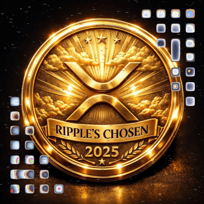 사용자 쇼케이스