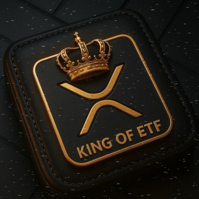 사용자 쇼케이스