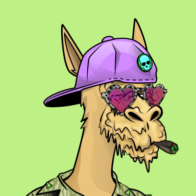 crypto camels #254
