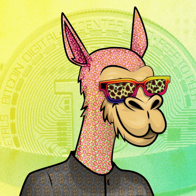 crypto camels #811