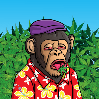 Chilled x chimps #6696