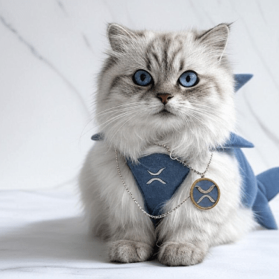 Sharky