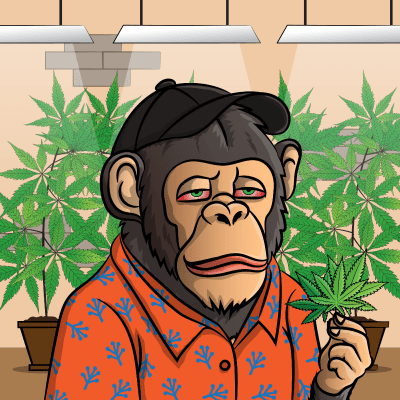 Chilled x chimps #4731