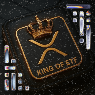 ユーザーショーケース