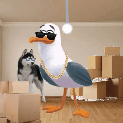 Apartment Seagull