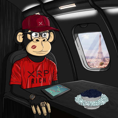 Private Jet Ape #11