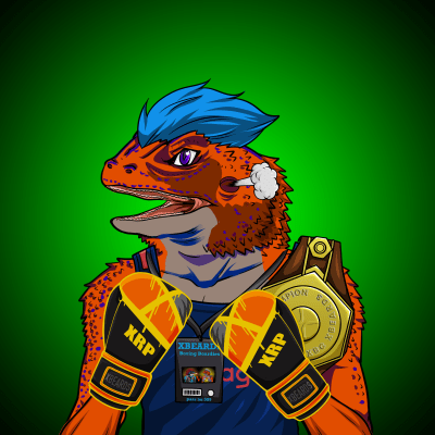 Boxing Beardies #1248