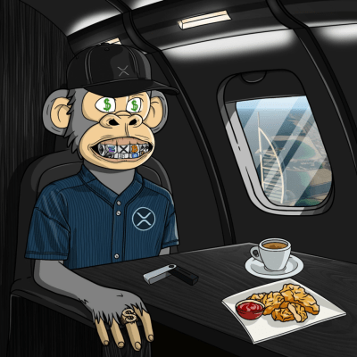 Private Jet Ape #260