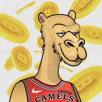 crypto camels #47
