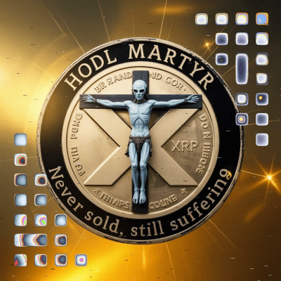 사용자 쇼케이스