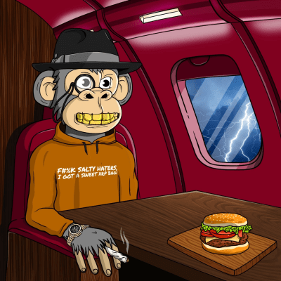 Private Jet Ape #458