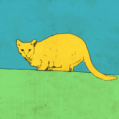 Cat Flag